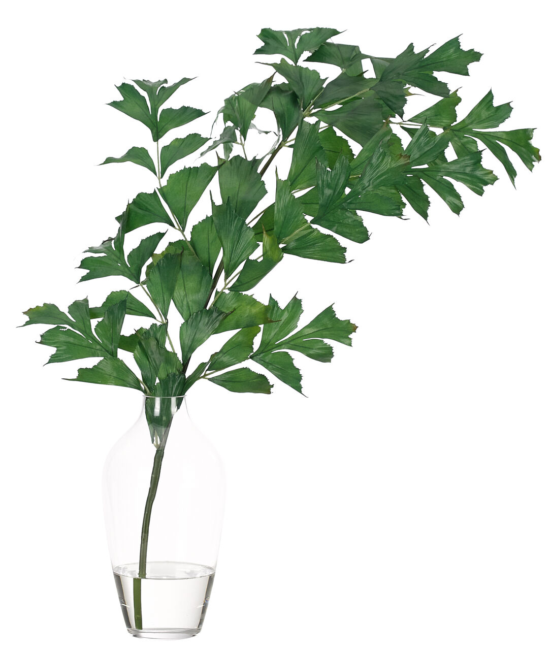 Palm Fishtail Greenery
