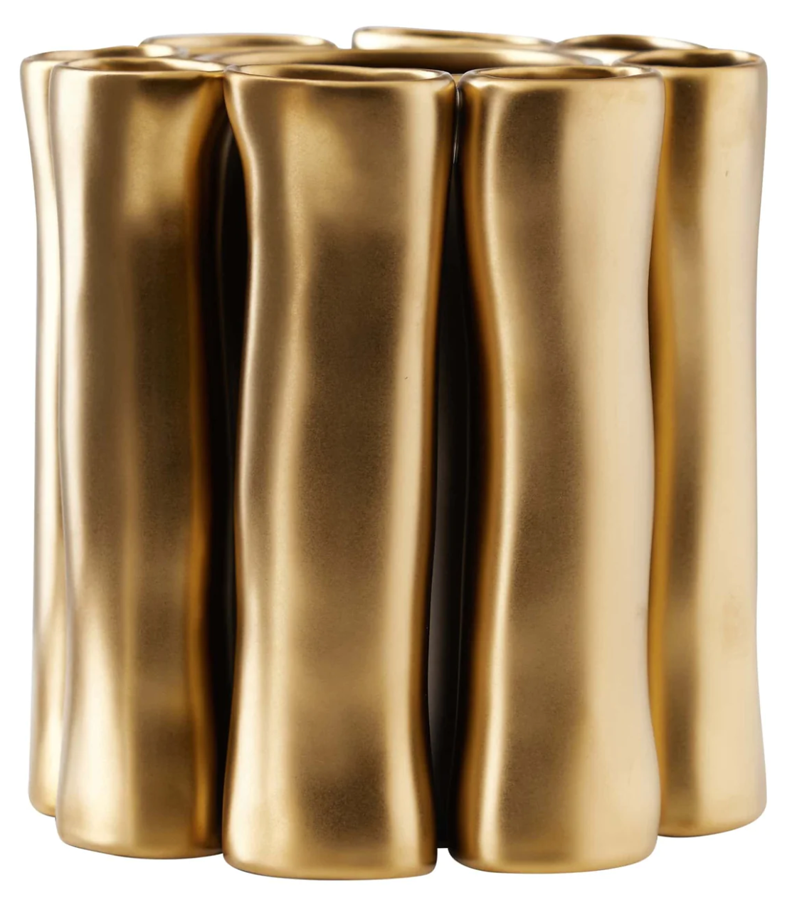 Vescovi Vase