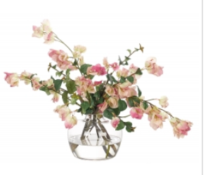 Bougainvillea in Glass Vase