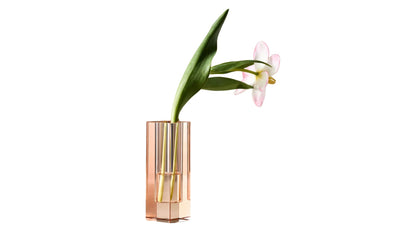 Glass Stem Vase